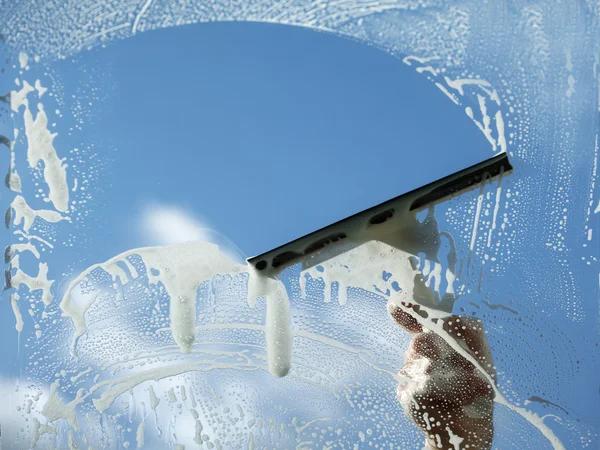 Expert Window Cleaning Plano with Affordable Local Pricing