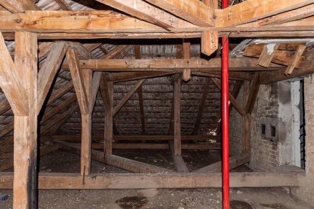 Professional Insulation Company in Prince George for Year-Round Comfort